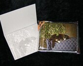 Note Cards, Painted Schubert the Cat- Pack of 10 w/ Envelopes