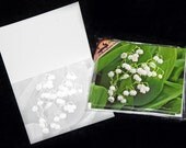Note Cards, Lily of the Valley Flowers- 10 Pack w/ Envelopes