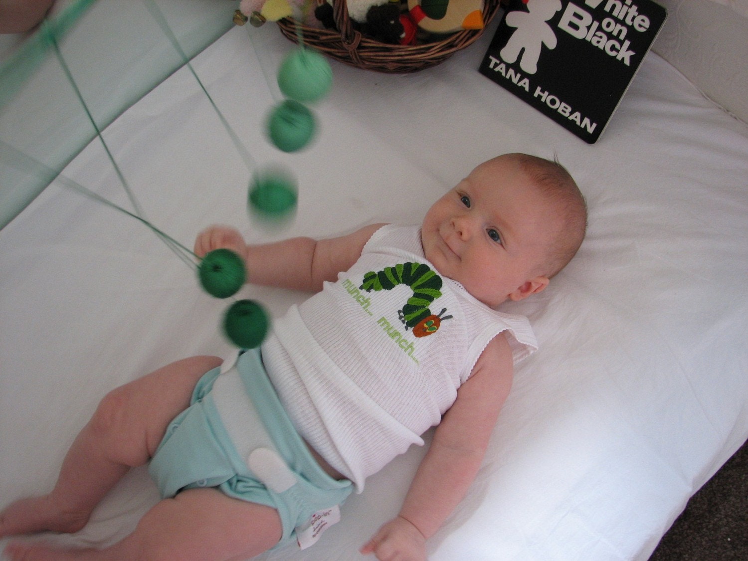 Montessori Baby Mobile, The Gobbi (green)