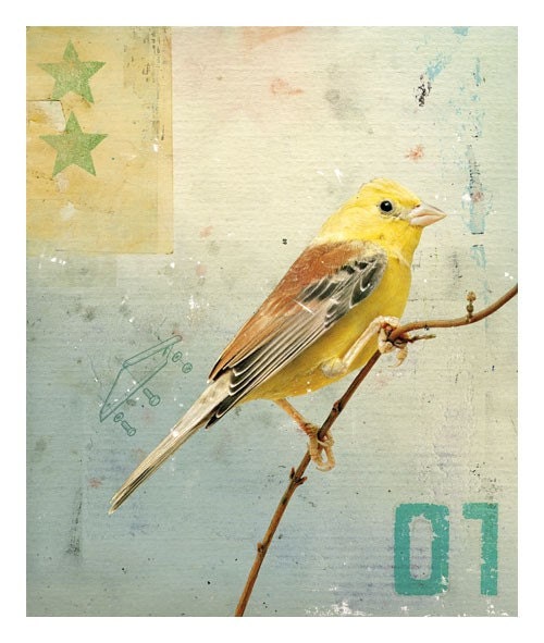 Bird No.4 (2008)
