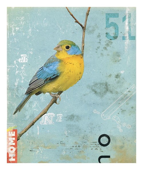 Bird No.5 (2008)