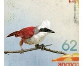 Bird No.3 (2008)