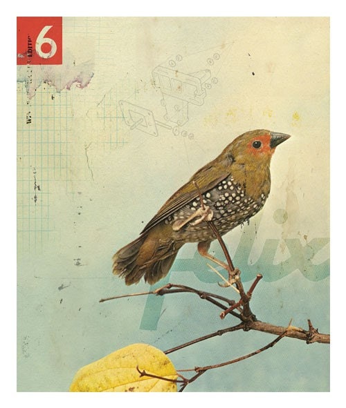 Bird No.2 (2008)
