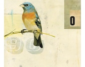 Bird No.1 (2008)