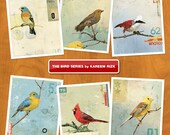The Bird Series - Print Set