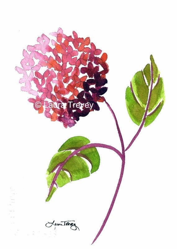 Pink Hydrangea Watercolor Print