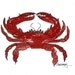 Red Crab Watercolor Print