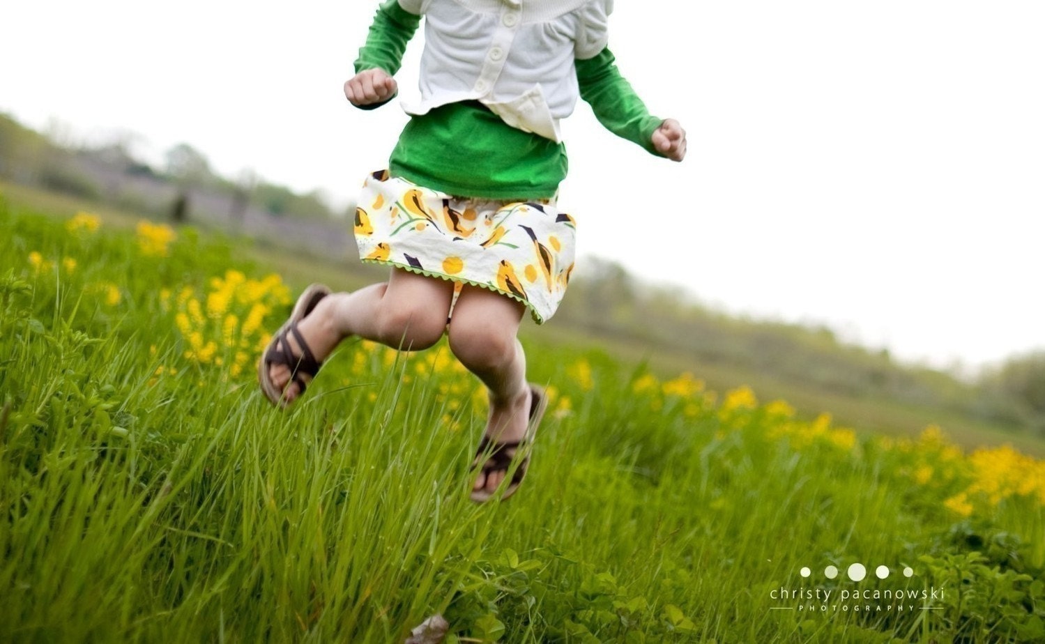 SALE.... Buy any 2 skirts and get 1 FREE.... Birdseed Twirl Skirt...... Featured on Etsy's Front Page.