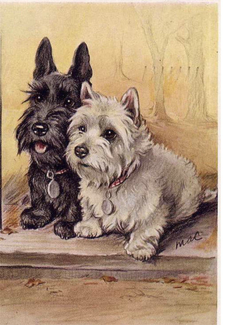Scottie & Westie Two Wee Aberdonians Magnet Scottish Terrier and Westhighland Terrier Dogs