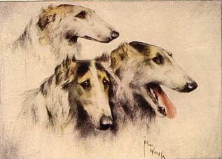 Borzoi Russian Wolfhound Dog s Oh Those Faces Notecard s Three Borzoi in Profile