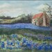 Gift Set (3) Hill Country Blues-5x7 bluebonnet note cards, blank, w/envelopes
