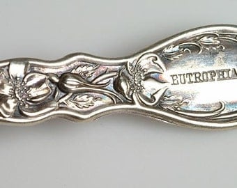 Souvenir Spoon: EUTROPHIA Health Spa, Horse Breeding Equestrian Farm in Ohio c.1905