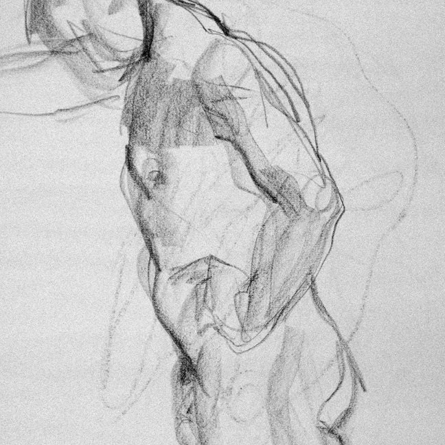 Nude Male Profile ORIGINAL CHARCOAL Drawing 17 x 14 torso