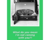 Travelling greyhound card - What do you mean I'm not coming with you.