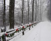 Winter Photography 5x7 Snow Scene Cleveland Metroparks Ohio Nature Photograph Deck the Trail