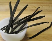 Madagascar Vanilla Bean - Reserved for lovingthosecritters