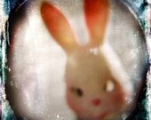 Surreal Rabbit Doll Holga Photography Print, It's All Just a Blur