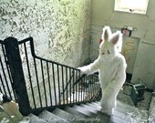 Rabbit Costume Photography Print, Detour, Unusual Easter Art Decor