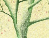 Tree Branch 4-Original Colored Pencil Drawing (8x10 mat included)
