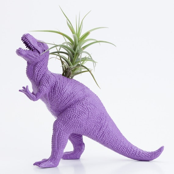 Dinosaur Planter with Air plant- Dorm Room Geekery Decoration