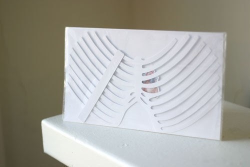 Ribcage with Heart