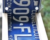 RECYCLED Wood and CT Connecticut  License Plate Window Bird Feeder Kitchen Rack With Two Suction Cups Great gift for your CT friends