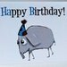 Half Off Sale Eli The Elephant Assorted Greeting Card Set of 3