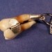 Tooth Locket - The Wisdom Tooth