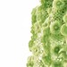 Green Crochet Scarves - Mohair Crochet Scarf - Asparagus Citruses Apple Lime Kiwi Pear Avocado
