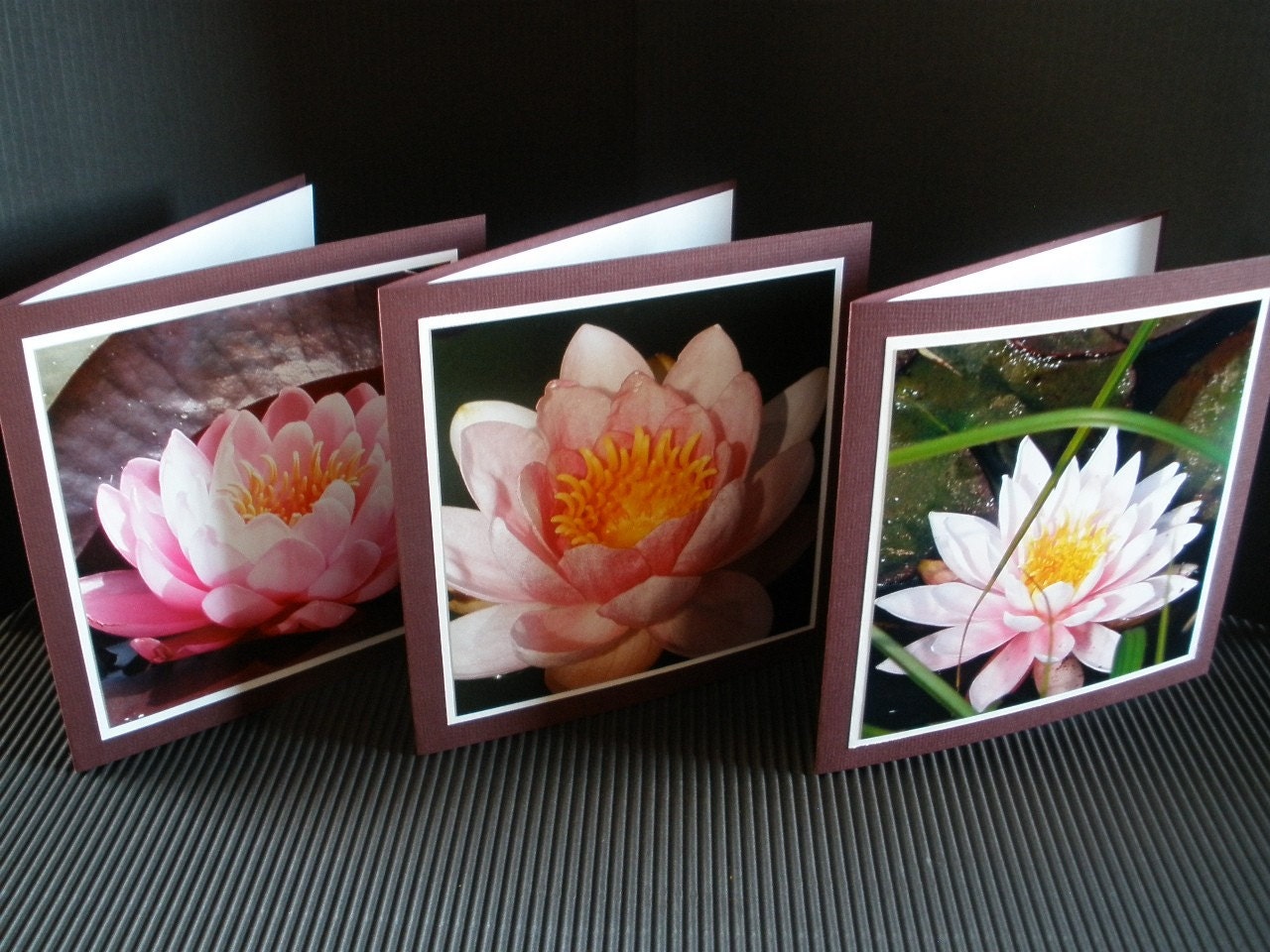 Assorted Water Lily Photo Note Cards - Set of Six