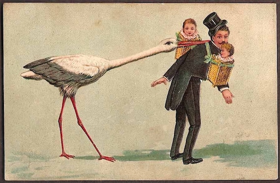 Stork Delivering Twins