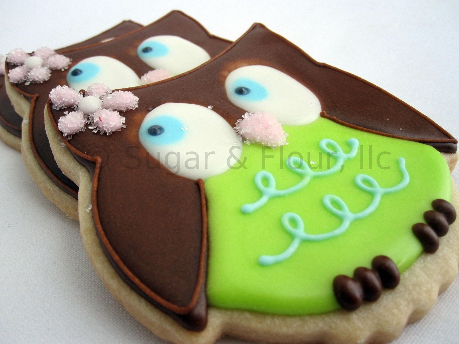 WHOO WHOO OWL Sugar Cookie Party Favors, 1 Dozen