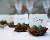 Spring Wedding Place Cards, 3, Nest Woodland Rustic Robin Egg Blue Easter Rustic Fairytale Classic Shabby Chic Country Theme Baby Shower
