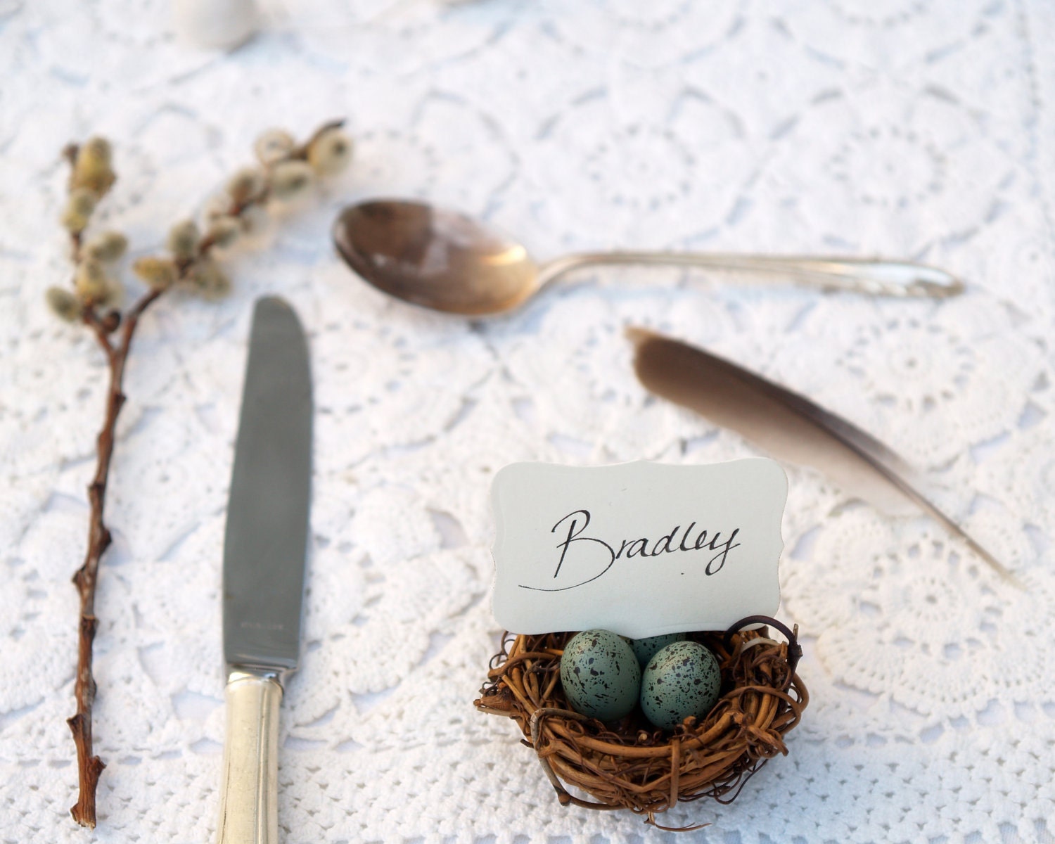 Wedding Place Cards, Spring Nest Favor Robin Egg Blue 20 Easter Woodland Rustic Fairytale Classic Shabby Chic Country Theme Baby Shower