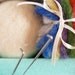 Learn How To Needle Felt a Rainbow Ball, Felting Kit, Detailed Tutorial on How to Make this Ball, Beginner Felted handmade Christmas Gift