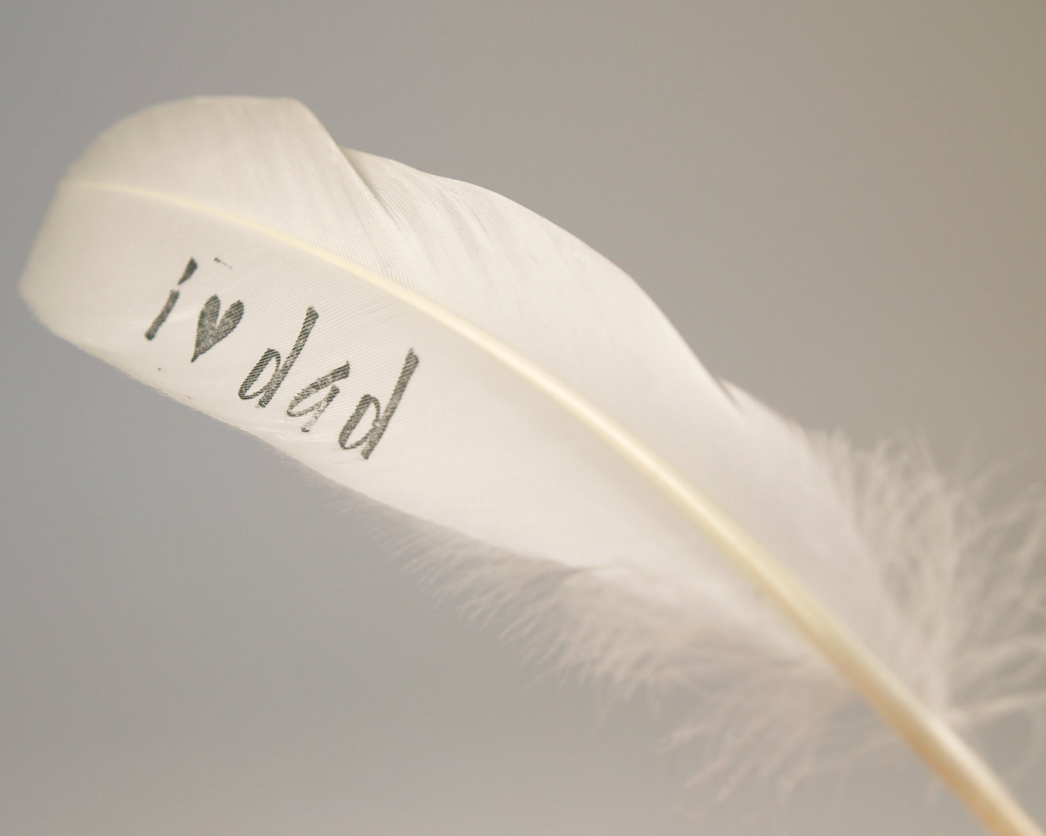 Personalized Gift Feather, Love Dad, white dove feather, unique gift