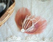 Feather Hair Accessory BLUSH, Peacock Hair Piece, Natural Hair Accessory, Latte Wedding - pink blush neutral nude ivory
