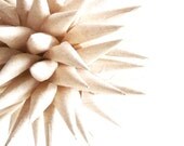 Vanilla Paper Star Urchin Christmas Holiday Ornament Natural Decoration Polish Folk Art - As Seen in Country Living Magazine - 4 inch