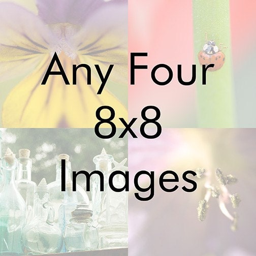 Save by buying in sets - Any four 8x8 fine art prints - great gift idea