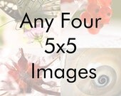 Save by buying in sets - Any four 5x5 fine art prints - great gift idea