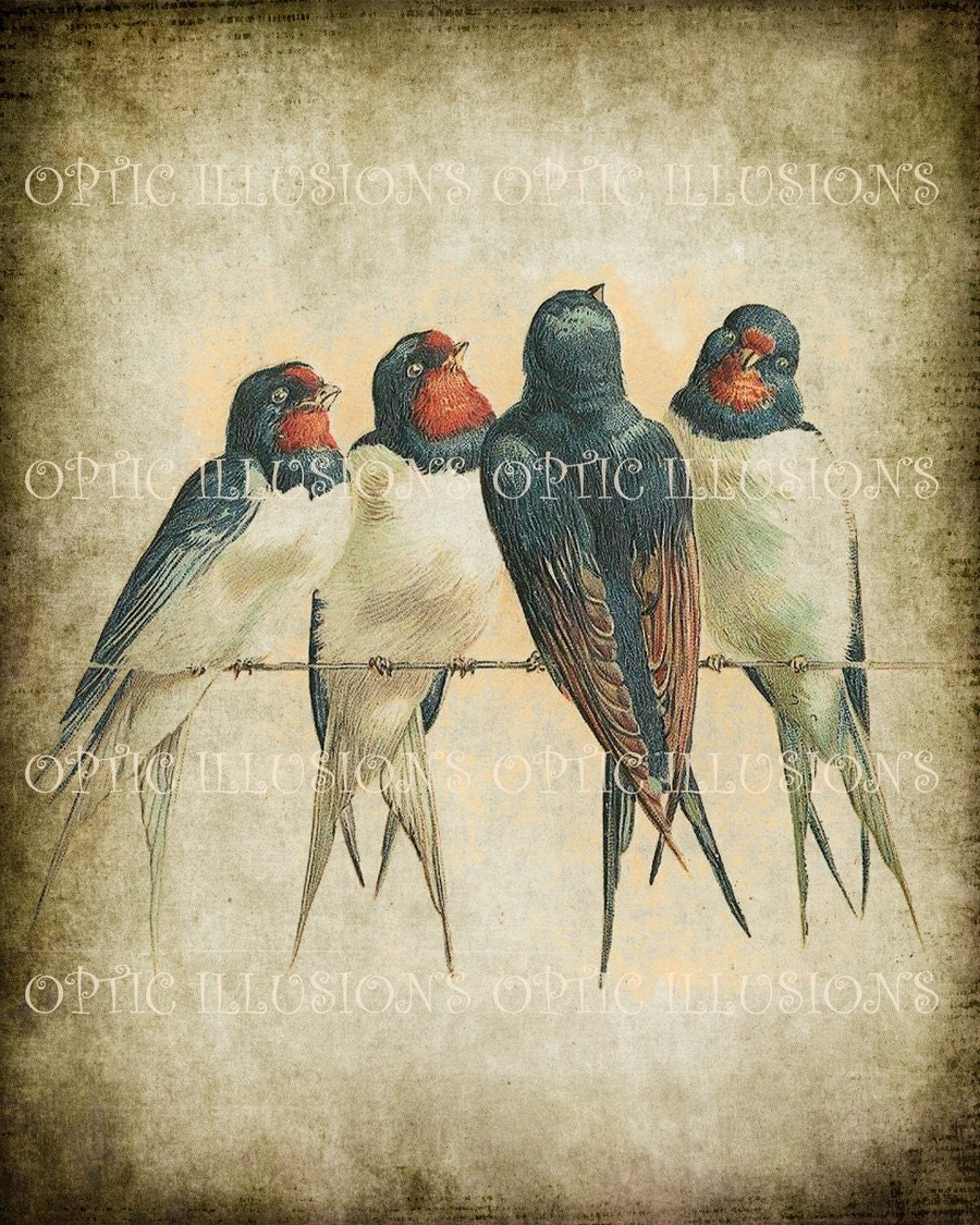Printable Digital Picture - Vintage Bird Illustrations on Old Paper - BIRD  02 - 8 x 10 inches in size -From opticillusions
