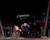 Comerica Park Detroit Tigers Stadium 8x10 Fine Art Photograph on Metallic Paper
