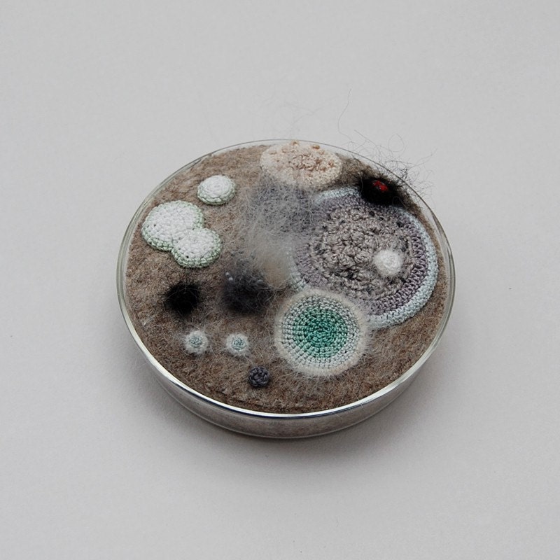 Moldy petri dish No. 10 - mostly monochrome