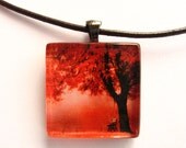 Empty Park Bench under Red Autumn Tree - Glass Tile Pendant with Leather cord