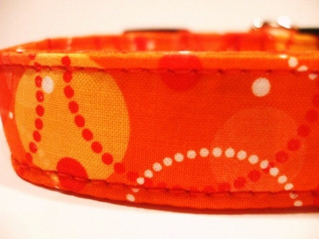 Collars With Curb Appeal - Tangerine Dream - SML