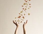 Autumn Confetti