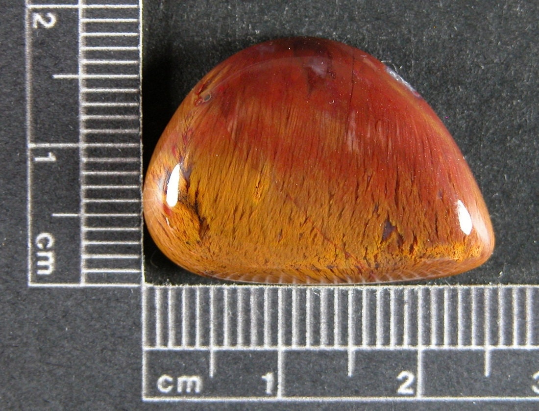 Bird Of Paradise Sagenite Cabochon SAGBOP 12