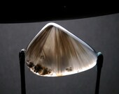 Sagenite Saddle Rim Cabochon Hand Cut SagSR21