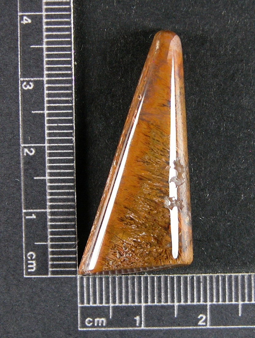 Nipomo Sagenite Cabochon Hand Cut SagN2