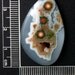 Ultra fine detail in this cog wheel grade Madagascar Ocean Jasper designer cabochon